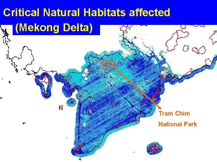 Critical Natural Habitats affected (Mekong Delta) Tram Chim National Park 