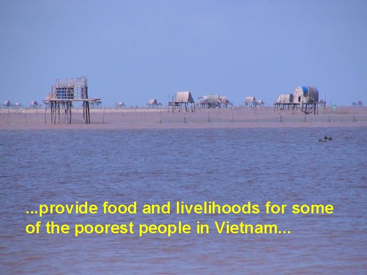 . . . provide food and livelihoods for some of the poorest people in