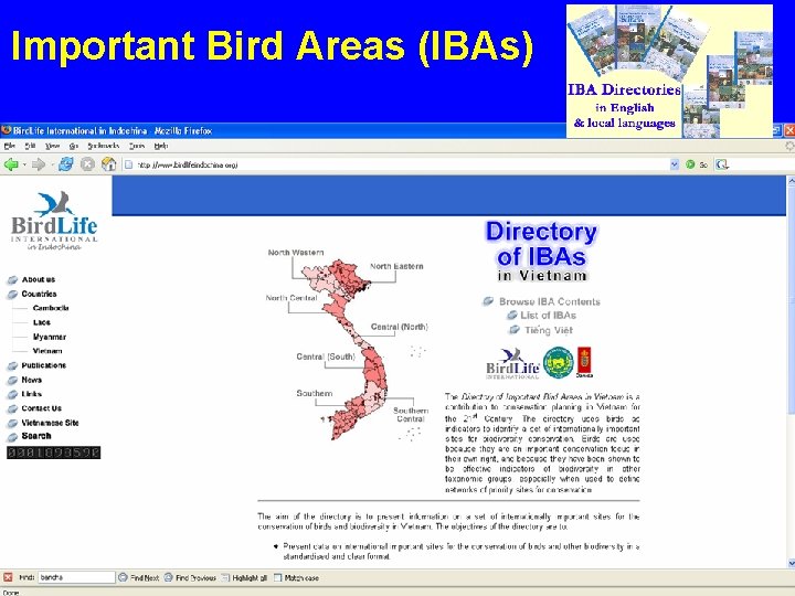 Important Bird Areas (IBAs) 