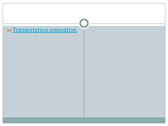  Transcription animation 