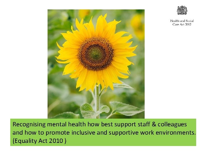 Recognising mental health how best support staff & colleagues and how to promote inclusive