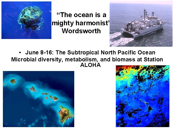 “The ocean is a mighty harmonist” Wordsworth • June 8 -16: The Subtropical North