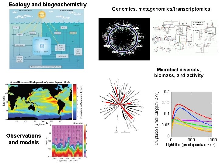 Ecology and biogeochemistry Genomics, metagenomics/transcriptomics Microbial diversity, biomass, and activity Observations and models Light