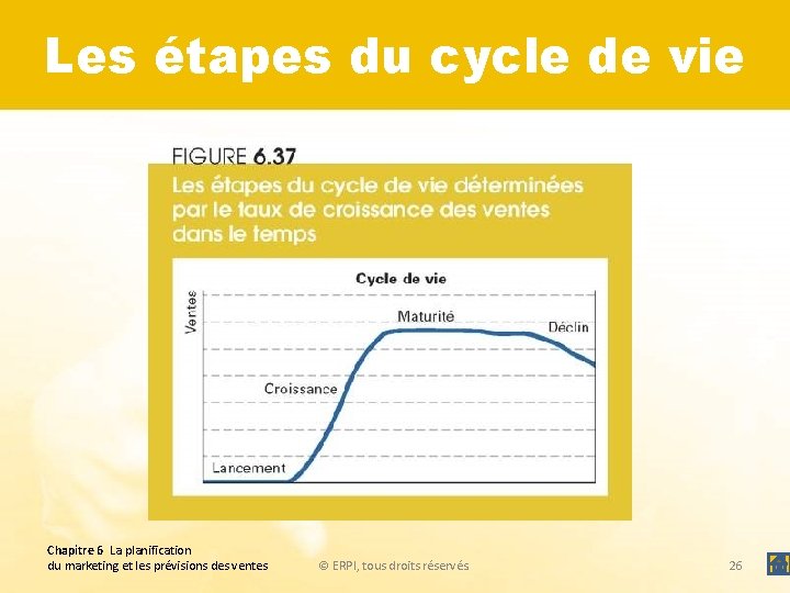 Les étapes du cycle de vie Chapitre 6 La planification du marketing et les