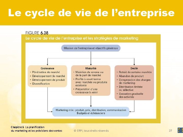 Le cycle de vie de l’entreprise Chapitre 6 La planification du marketing et les