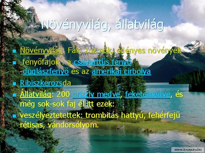 Növényvilág, állatvilág n n n Növényvilág: Fák, zuzmók, edényes növények fenyőfajok : a csavarttűs Növényvilág, állatvilág n n n Növényvilág: Fák, zuzmók, edényes növények fenyőfajok : a csavarttűs