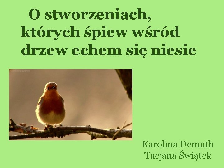 O stworzeniach, których śpiew wśród drzew echem się niesie Karolina Demuth Tacjana Świątek 