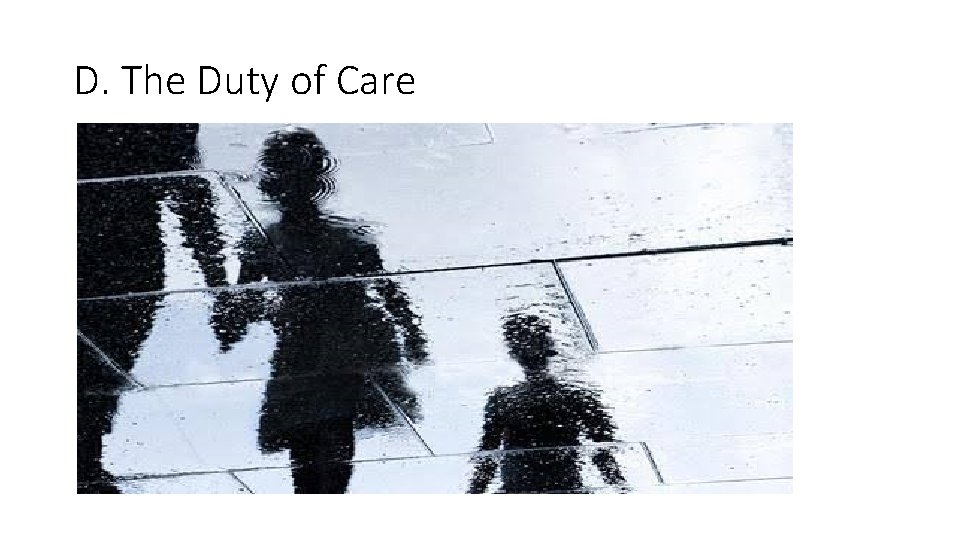 D. The Duty of Care 