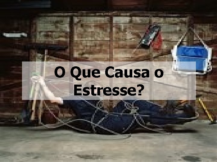 O Que Causa o Estresse? 