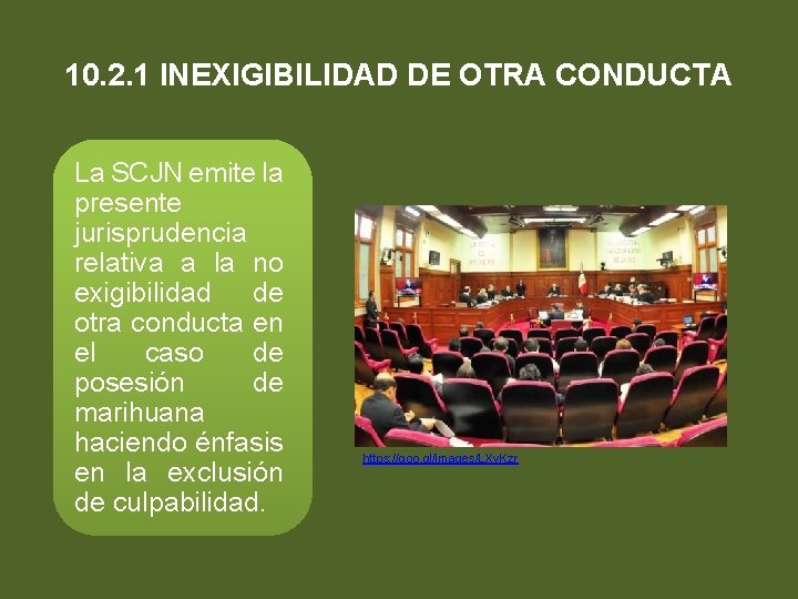 10. 2. 1 INEXIGIBILIDAD DE OTRA CONDUCTA La SCJN emite la presente jurisprudencia relativa