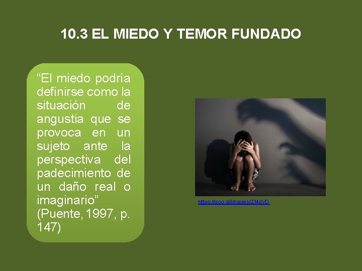 10. 3 EL MIEDO Y TEMOR FUNDADO “El miedo podría definirse como la situación