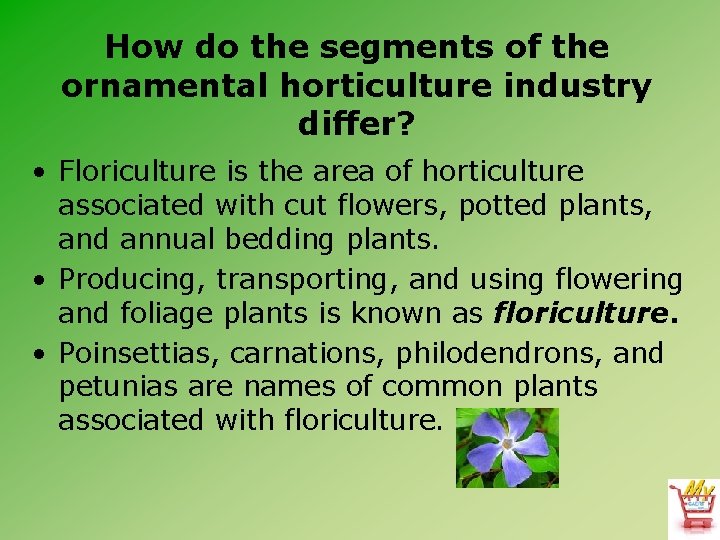How do the segments of the ornamental horticulture industry differ? • Floriculture is the