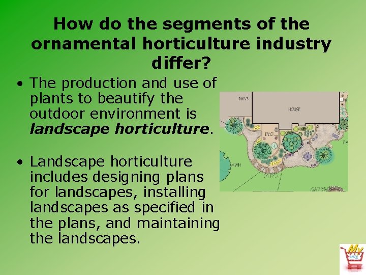 How do the segments of the ornamental horticulture industry differ? • The production and