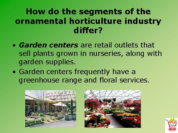 How do the segments of the ornamental horticulture industry differ? • Garden centers are