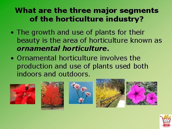 What are three major segments of the horticulture industry? • The growth and use