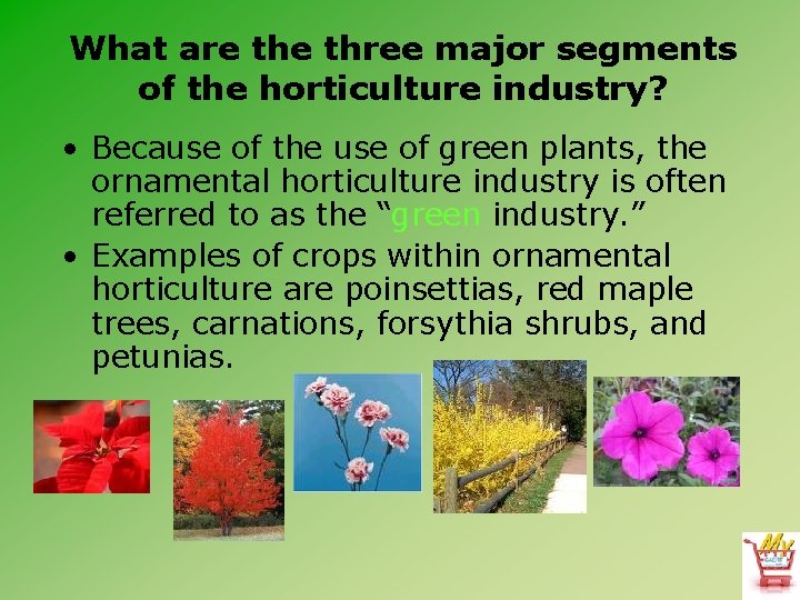 What are three major segments of the horticulture industry? • Because of the use