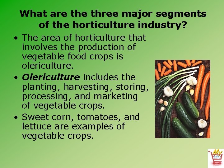 What are three major segments of the horticulture industry? • The area of horticulture