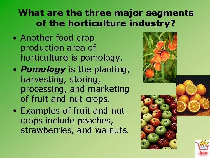 What are three major segments of the horticulture industry? • Another food crop production