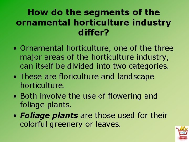 How do the segments of the ornamental horticulture industry differ? • Ornamental horticulture, one