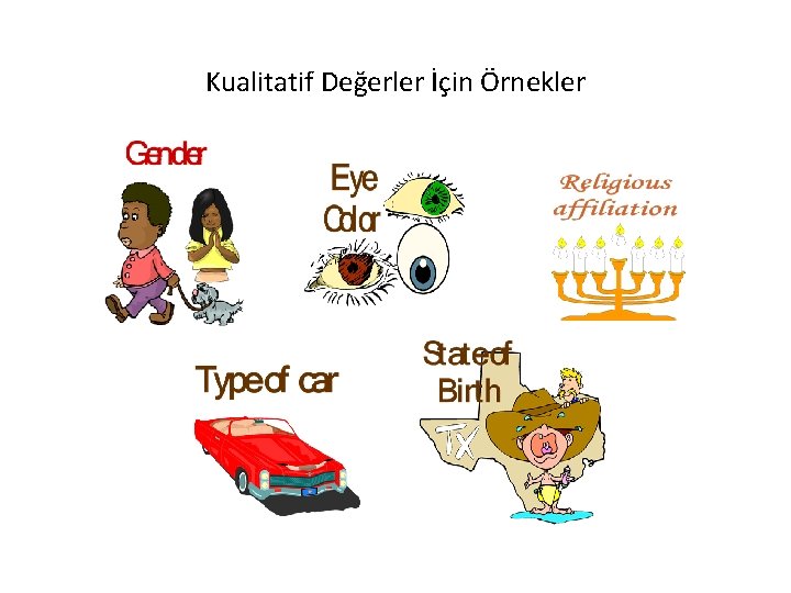 Kualitatif Değerler İçin Örnekler 