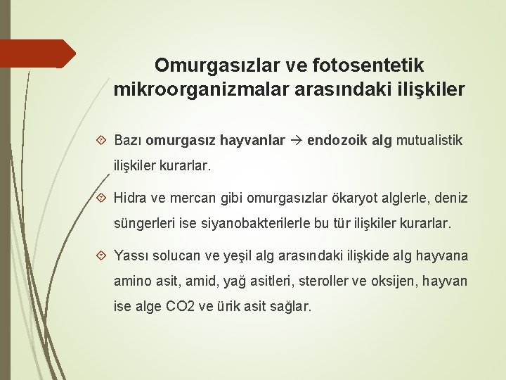 Omurgasızlar ve fotosentetik mikroorganizmalar arasındaki ilişkiler Bazı omurgasız hayvanlar endozoik alg mutualistik ilişkiler kurarlar.