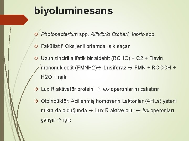 biyoluminesans Photobacterium spp. Aliivibrio fischeri, Vibrio spp. Fakültatif, Oksijenli ortamda ışık saçar Uzun zincirli