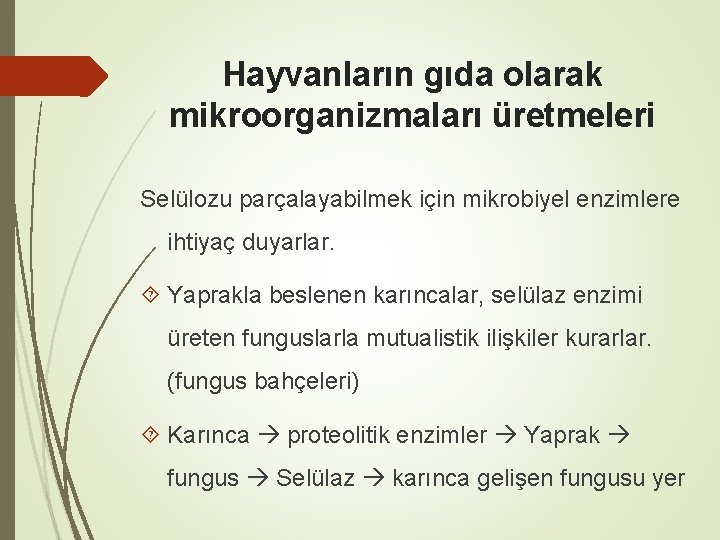 Hayvanların gıda olarak mikroorganizmaları üretmeleri Selülozu parçalayabilmek için mikrobiyel enzimlere ihtiyaç duyarlar. Yaprakla beslenen