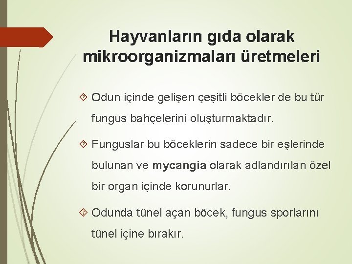 Hayvanların gıda olarak mikroorganizmaları üretmeleri Odun içinde gelişen çeşitli böcekler de bu tür fungus