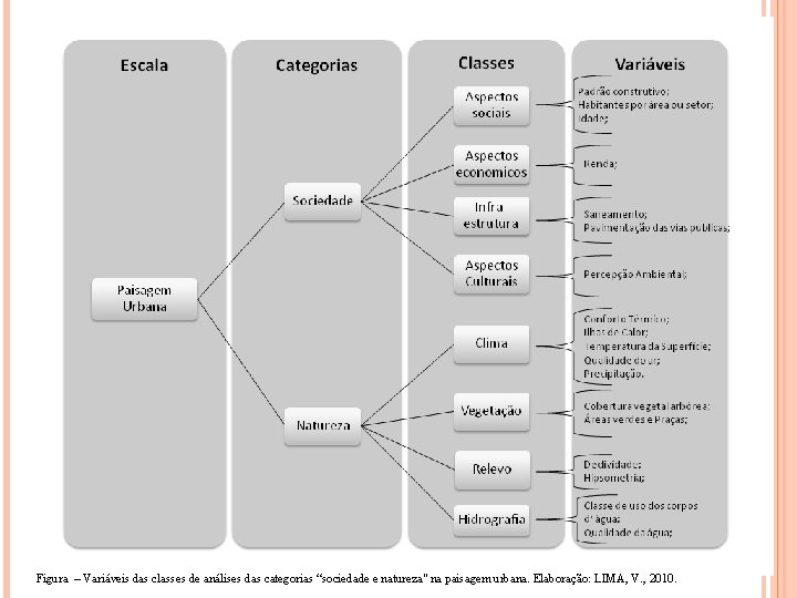 Figura – Variáveis das classes de análises das categorias “sociedade e natureza" na paisagem