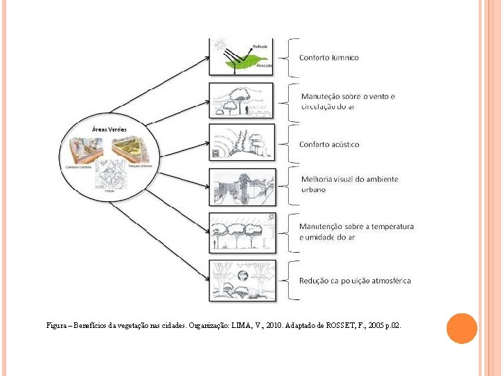 Figura – Benefícios da vegetação nas cidades. Organização: LIMA, V. , 2010. Adaptado de