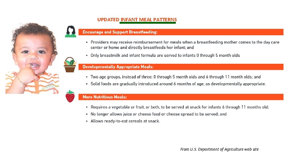 UPDATED INFANT MEAL PATTERNS From U. S. Department of Agriculture web site 
