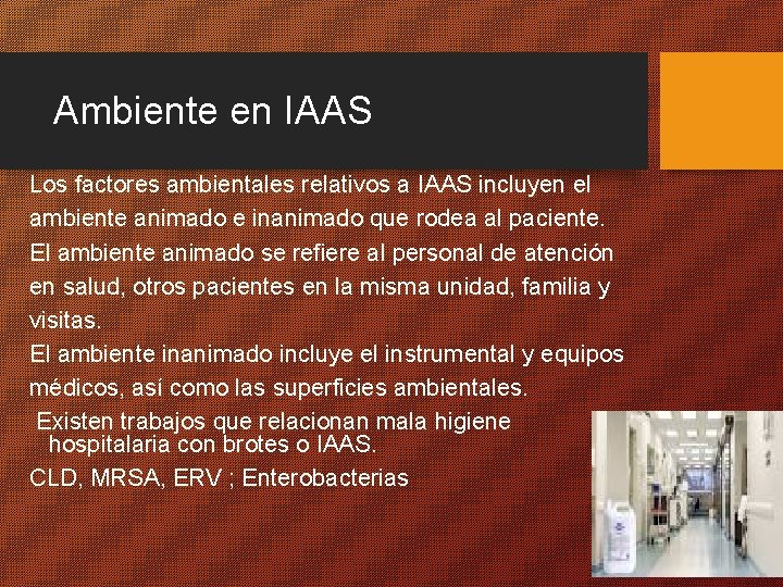 Ambiente en IAAS Los factores ambientales relativos a IAAS incluyen el ambiente animado e