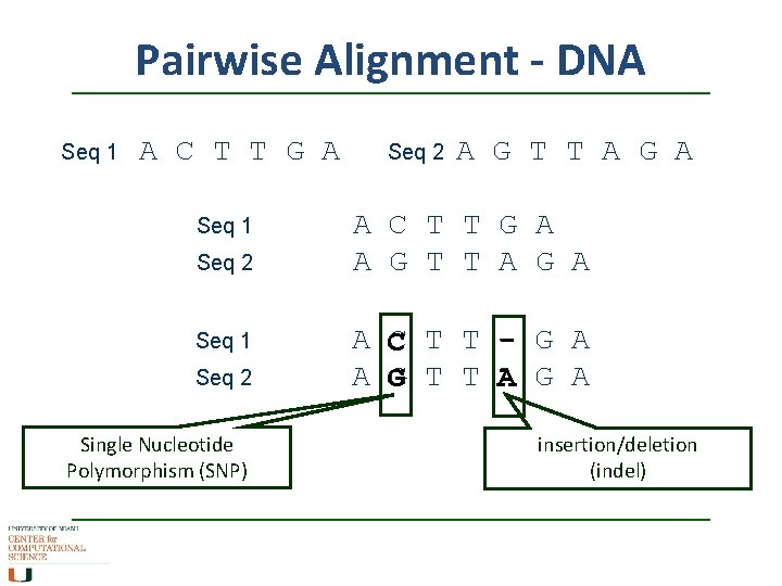 Pairwise Alignment - DNA Seq 1 A C T T G A Seq 1