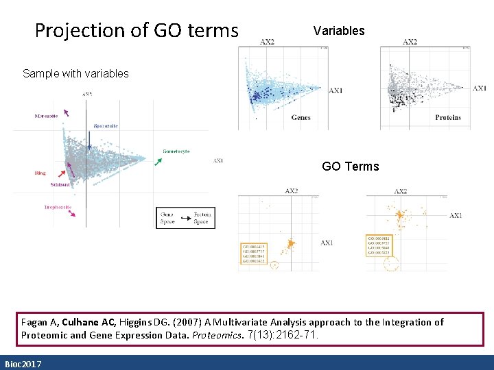 Projection of GO terms Variables Sample with variables GO Terms Fagan A, Culhane AC,