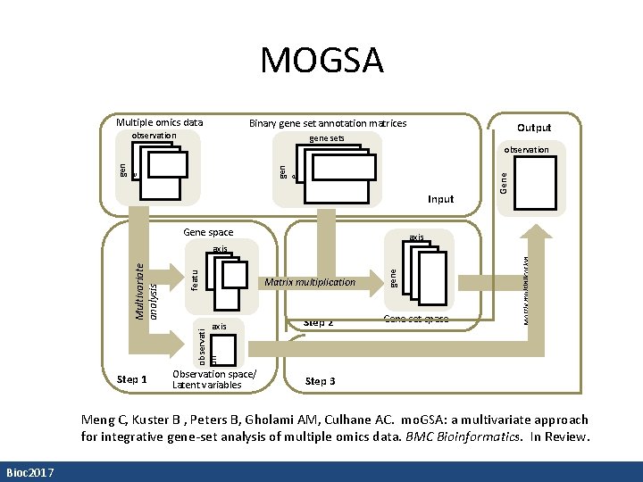 MOGSA Multiple omics data Binary gene set annotation matrices observation Output gene sets Input
