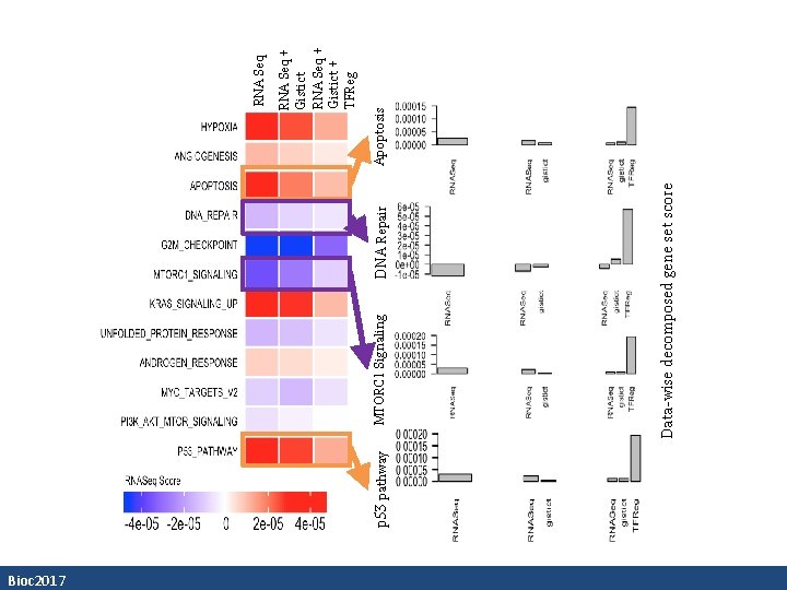 Bioc 2017 p 53 pathway DNA Repair Data-wise decomposed gene set score MTORC 1