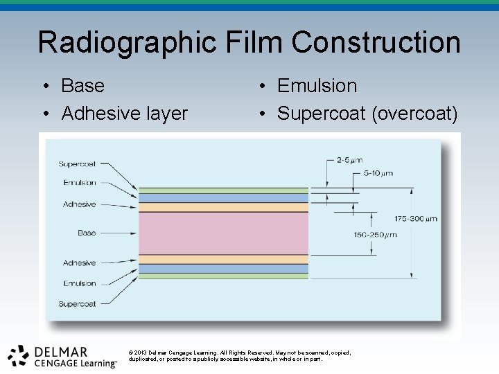 Radiographic Film Construction • Base • Adhesive layer • Emulsion • Supercoat (overcoat) ©