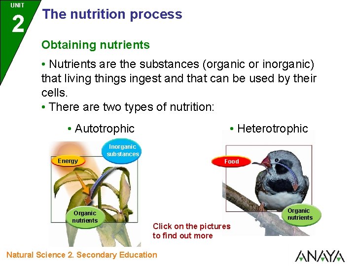 UNIT 2 The nutrition process Obtaining nutrients • Nutrients are the substances (organic or