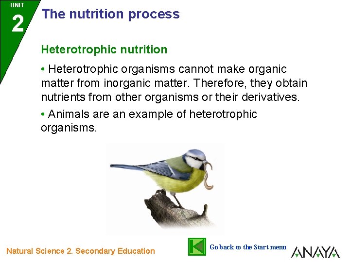 UNIT 2 The nutrition process Heterotrophic nutrition • Heterotrophic organisms cannot make organic matter