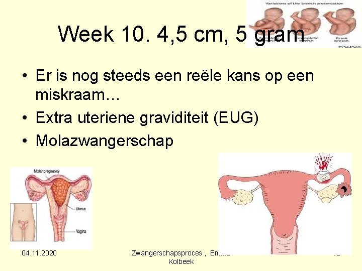 Week 10. 4, 5 cm, 5 gram • Er is nog steeds een reële