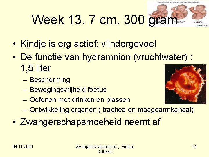 Week 13. 7 cm. 300 gram • Kindje is erg actief: vlindergevoel • De