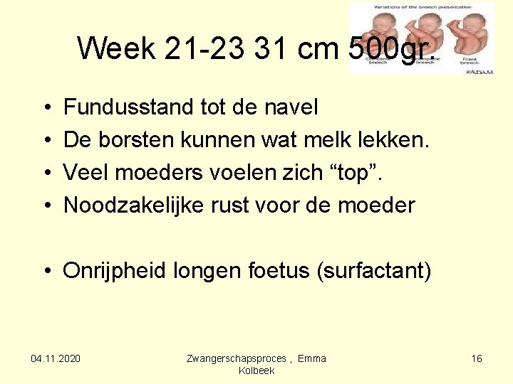 Week 21 -23 31 cm 500 gr. • • Fundusstand tot de navel De