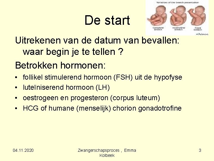 Zwangerschapsproces Zo Groeit Een Foetus Ontwikkeling Van Een