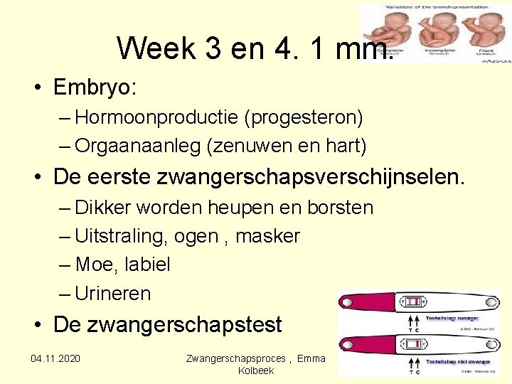 Week 3 en 4. 1 mm. • Embryo: – Hormoonproductie (progesteron) – Orgaanaanleg (zenuwen