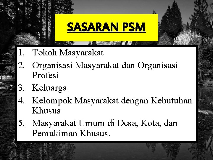 SASARAN PSM 1. Tokoh Masyarakat 2. Organisasi Masyarakat dan Organisasi Profesi 3. Keluarga 4.