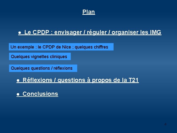 Plan Le CPDP : envisager / réguler / organiser les IMG Un exemple :