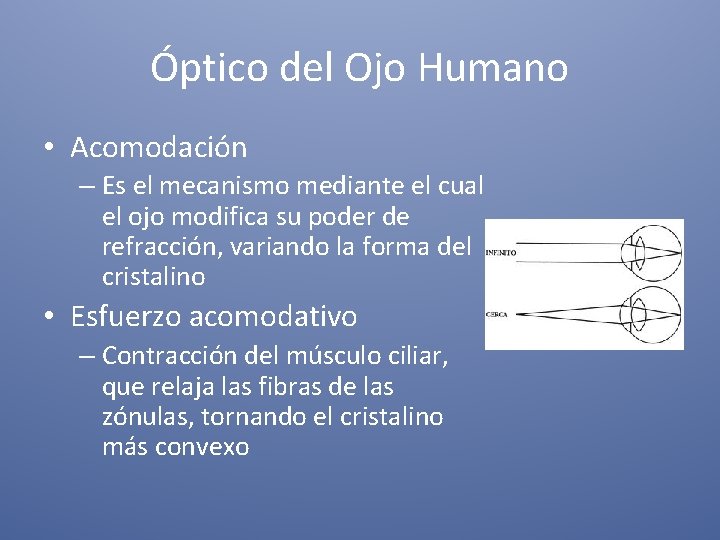 Óptico del Ojo Humano • Acomodación – Es el mecanismo mediante el cual el