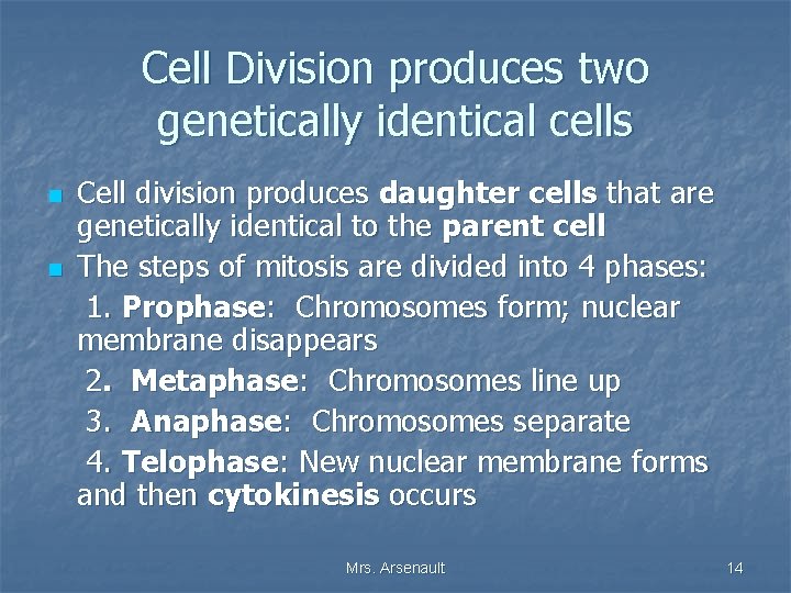 Cell Division produces two genetically identical cells n n Cell division produces daughter cells