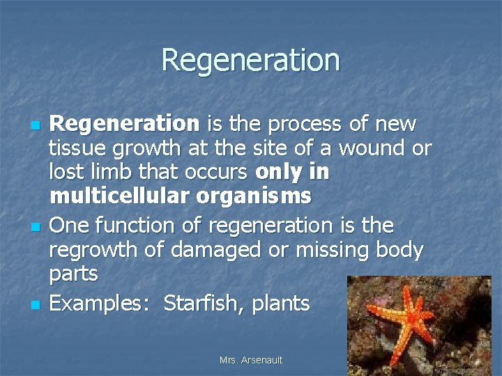 Regeneration n Regeneration is the process of new tissue growth at the site of