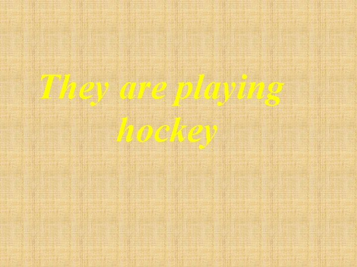 They are playing hockey 